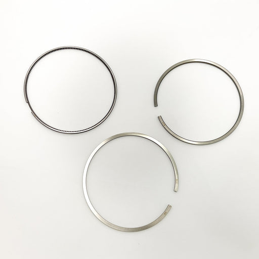 813980 Piston Ring Kit