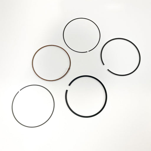 814790 Piston Ring Kit