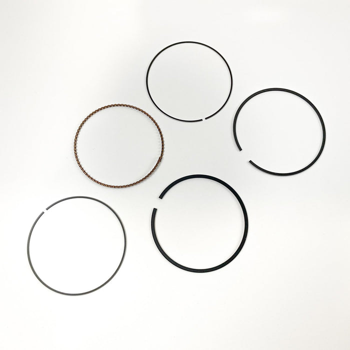 814790 Piston Ring Kit