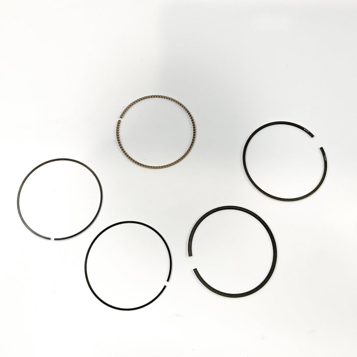 814930 Piston Ring Kit