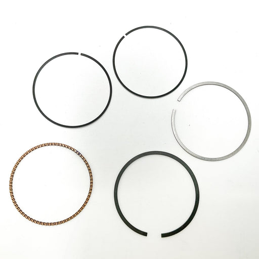 816220 Piston Ring Kit