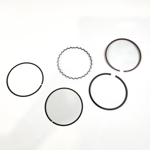 816290 Piston Ring Kit