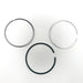 816300 Piston Ring Kit
