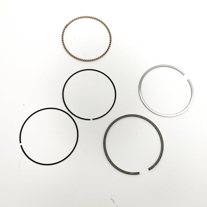 816380 Piston Ring Kit
