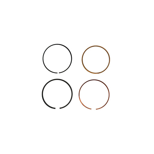 816490 Piston Ring Kit
