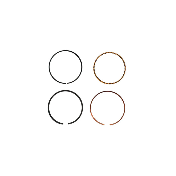 816490 Piston Ring Kit