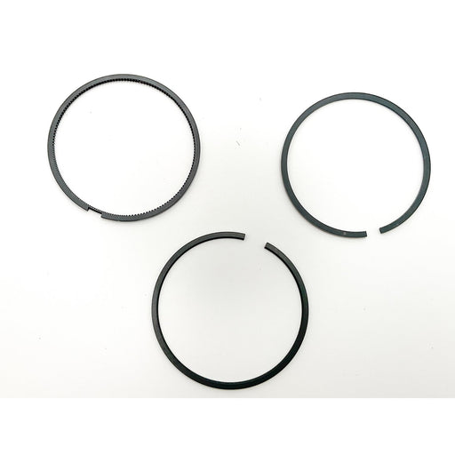 816660 Piston Ring Kit