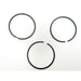 816660 Piston Ring Kit