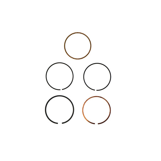 816671 Piston Ring Kit
