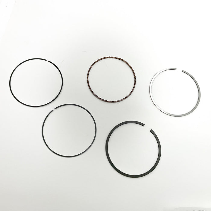 816790 Piston Ring Kit