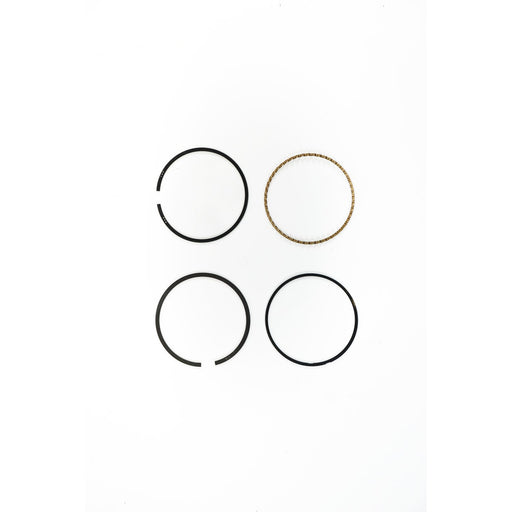 816870 Piston Ring Kit