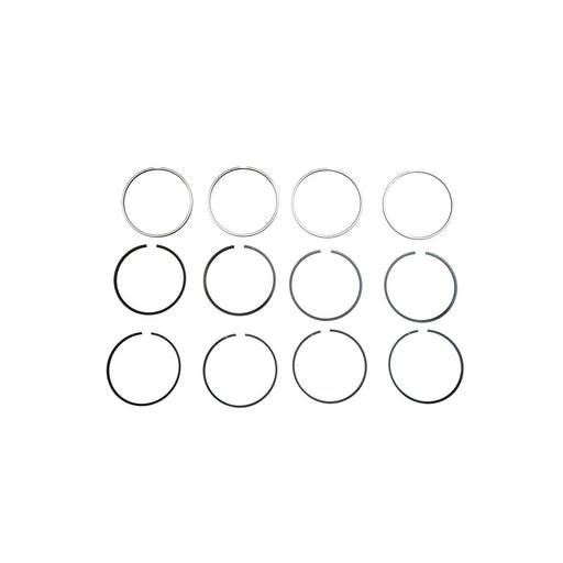 817070 Piston Ring Kit