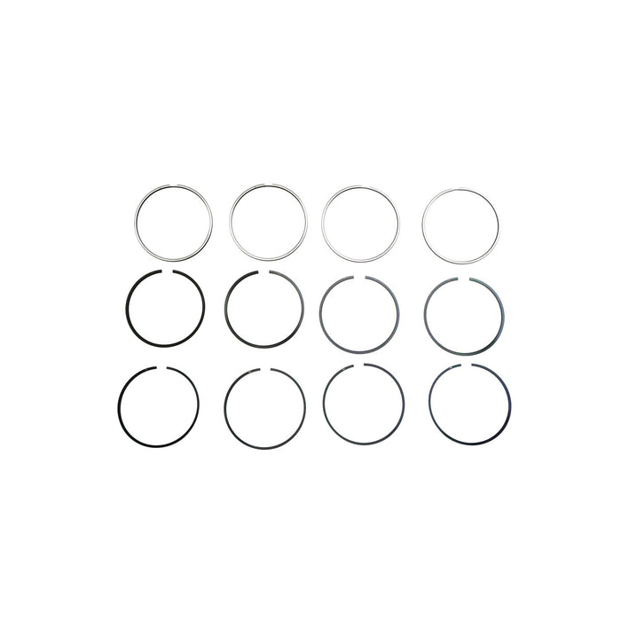 817070 Piston Ring Kit