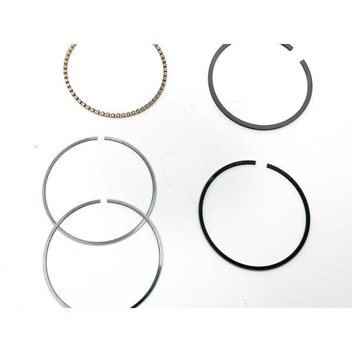 819005 Piston Ring Kit