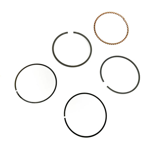 819020 Piston Ring Kit