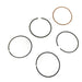 819020 Piston Ring Kit