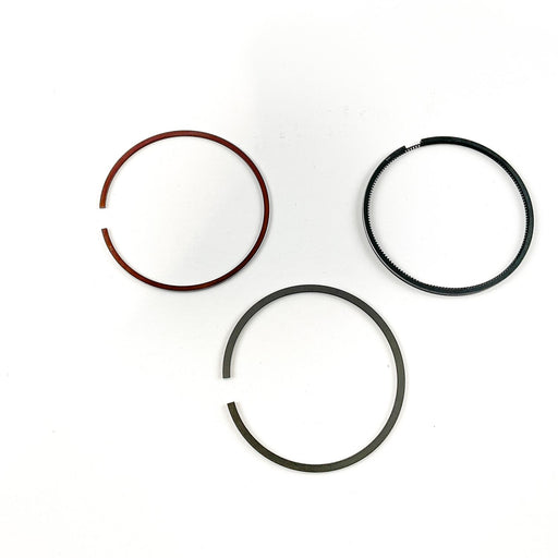 819040 Piston Ring Kit