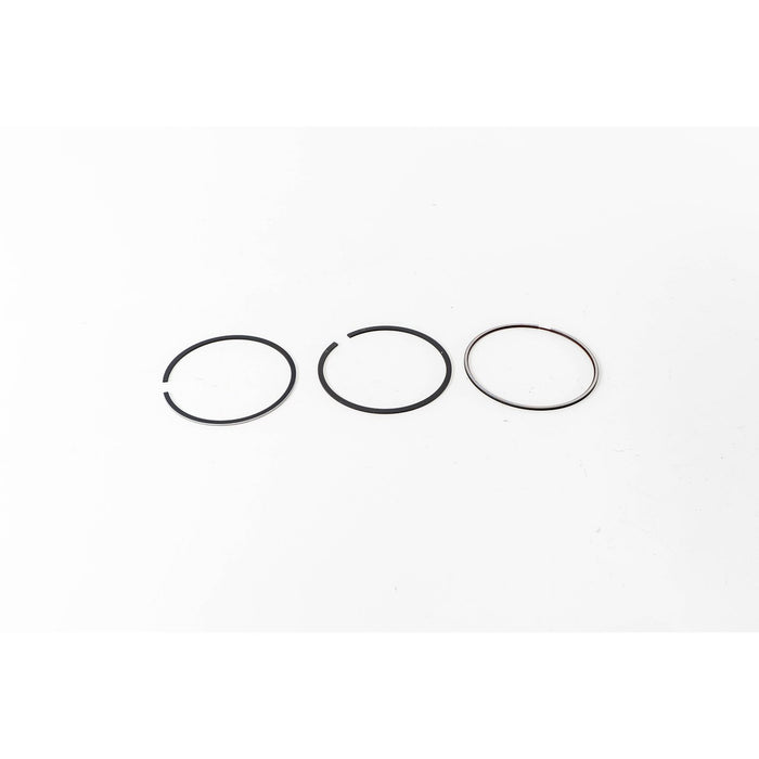 819050 Piston Ring Kit