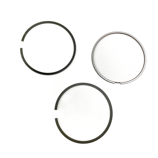 819054 Piston Ring Kit