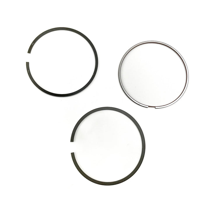 819054 Piston Ring Kit