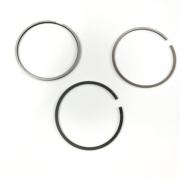 819100 Piston Ring Kit