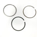819100 Piston Ring Kit
