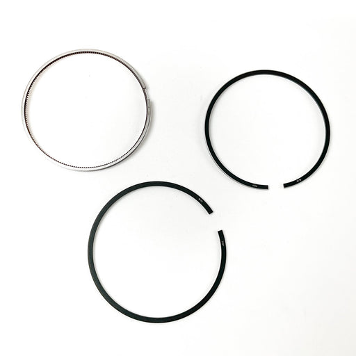 819190 Piston Ring Kit