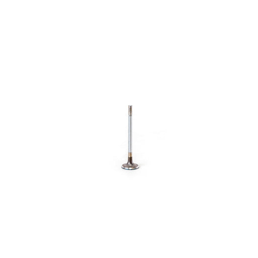 820012 Inlet Valve