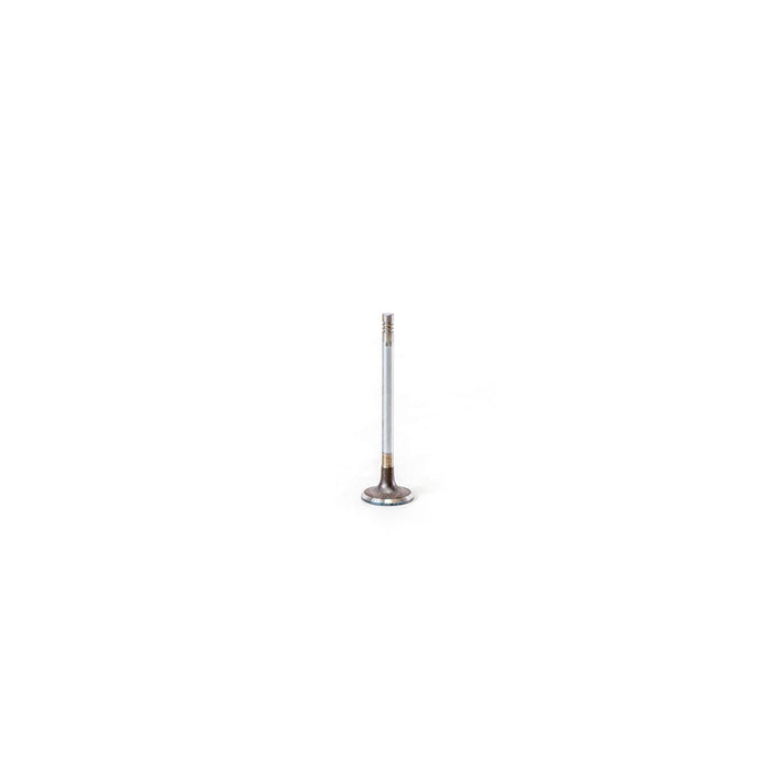 820012 Inlet Valve