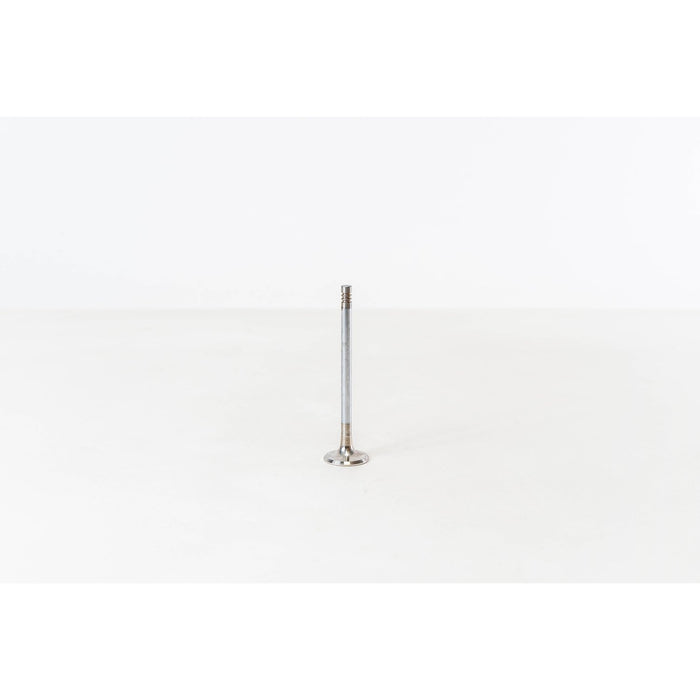 820015 Inlet Valve