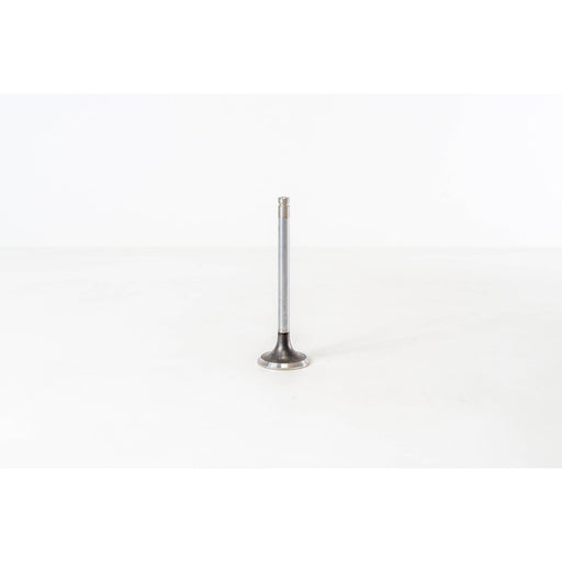 820023 Outlet valve