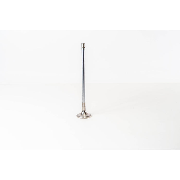 820068 Outlet valve