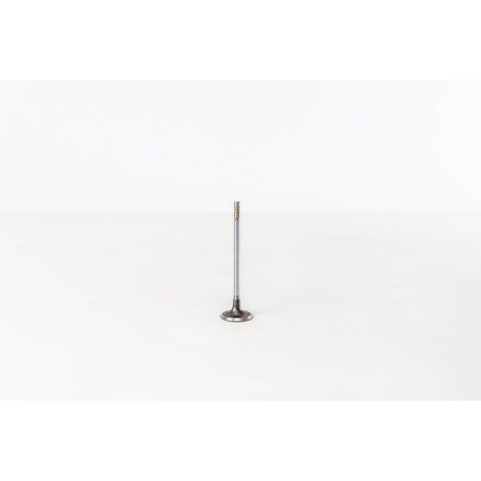 820074 Inlet Valve