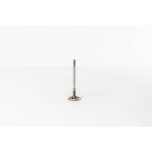820085 Inlet Valve