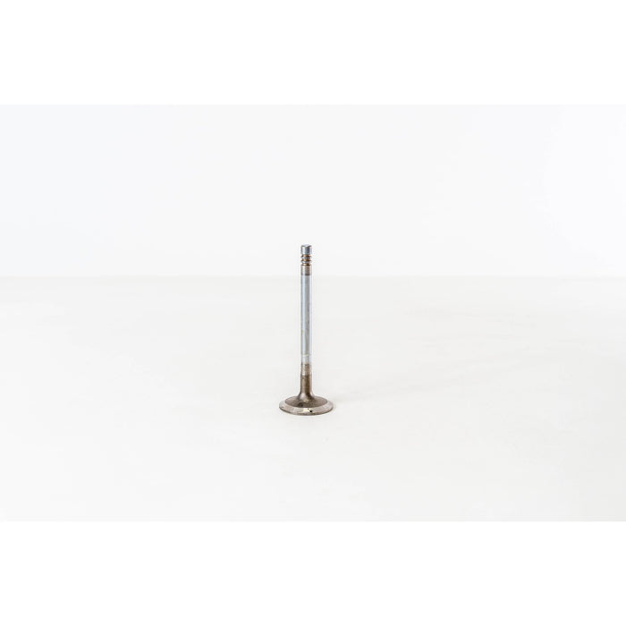 820085 Inlet Valve
