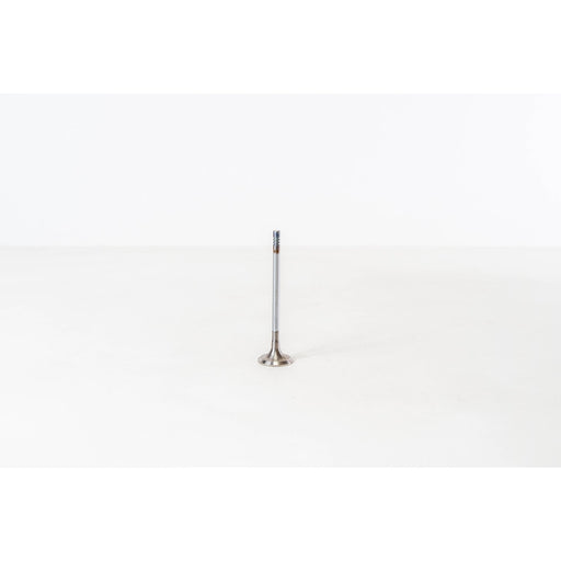 820089 Inlet Valve