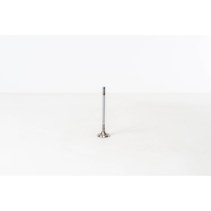 820089 Inlet Valve