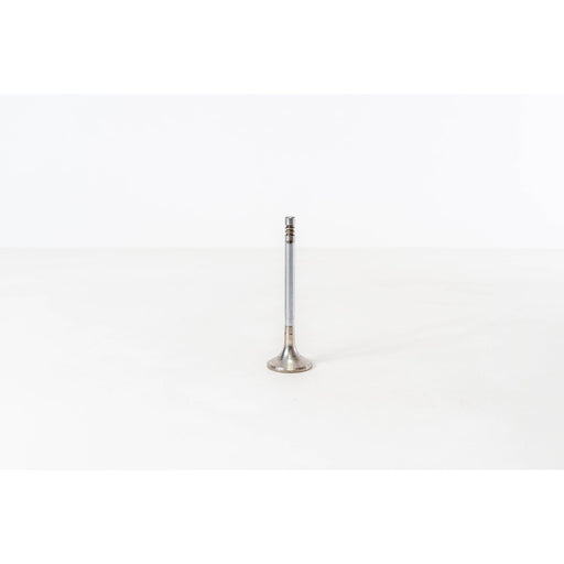 820095 Outlet valve