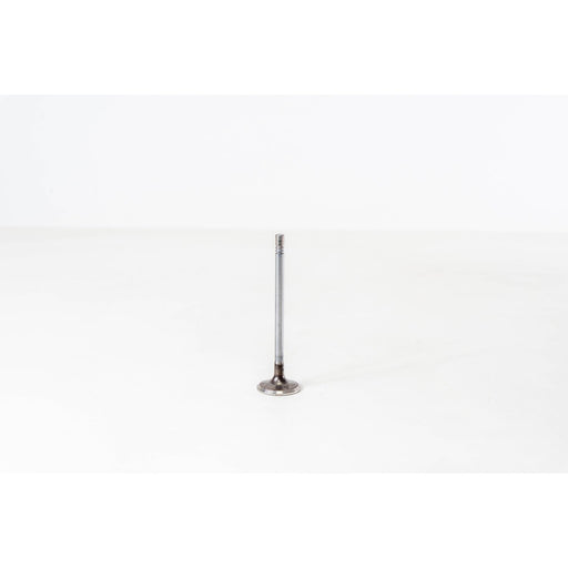 820108 Inlet Valve
