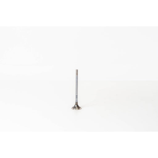 820109 Outlet valve
