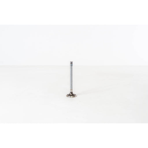 820170 Inlet Valve