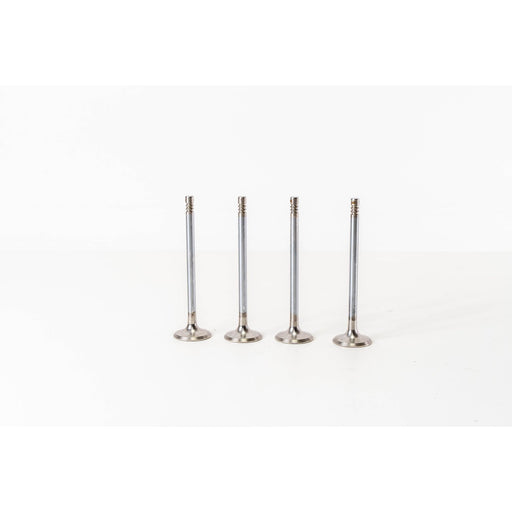 820175 Inlet Valve