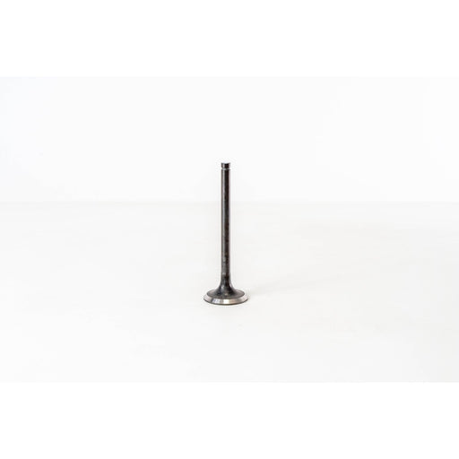 820195 Outlet valve