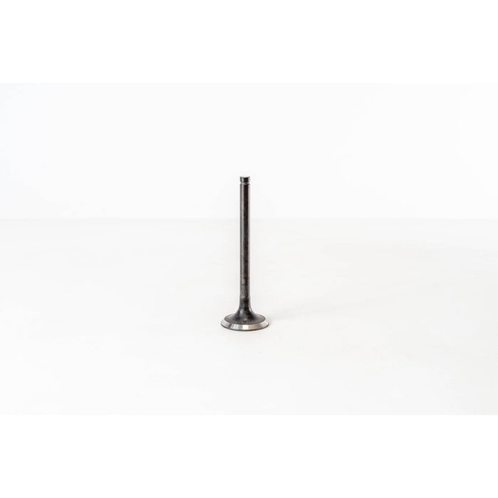 820195 Outlet valve
