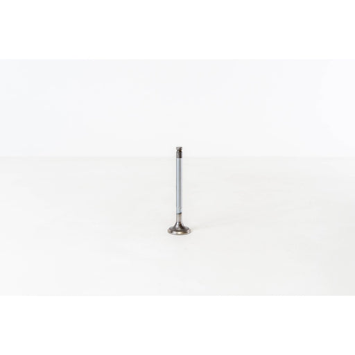820200 Inlet Valve