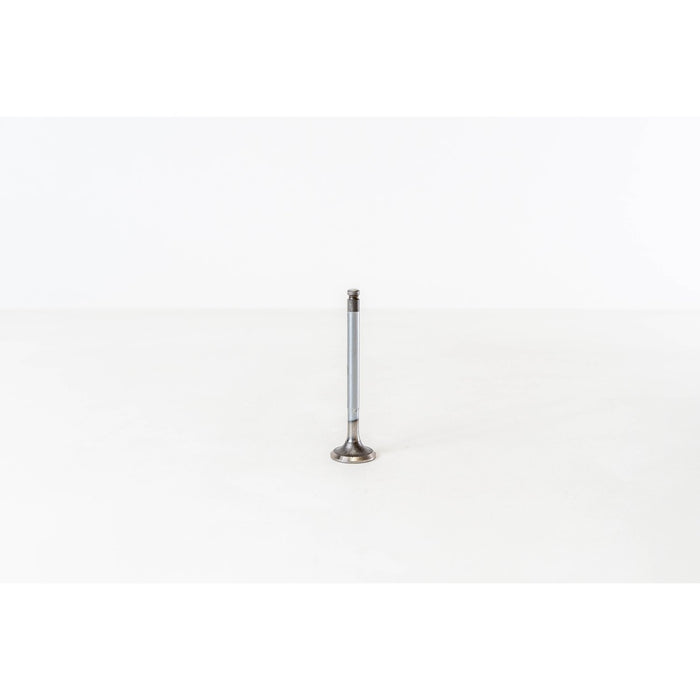 820200 Inlet Valve