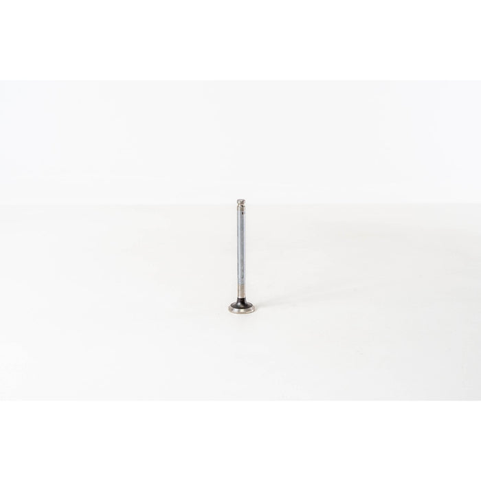 820210 Outlet valve