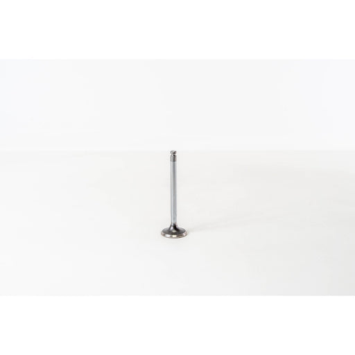 820220 Inlet Valve