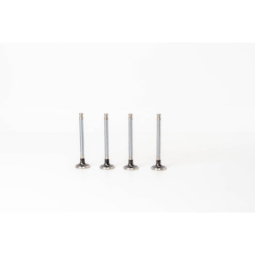 820230 Outlet valve