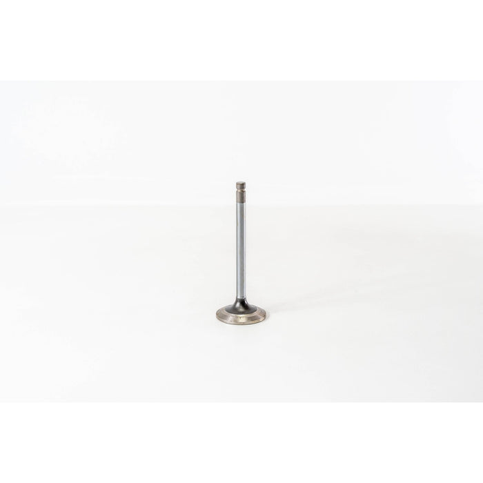 820235 Inlet Valve